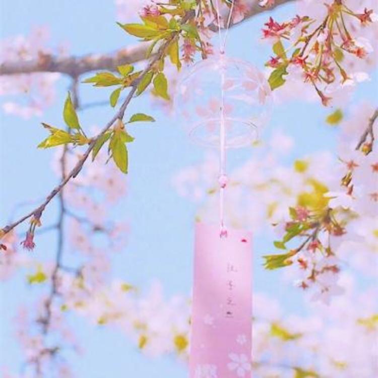 武田观柳（身份：恶德实业家、操纵鸦片贸易） - 山口珠理影片高清在线播放19 - APP看视频